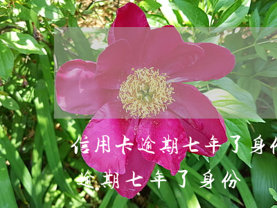 信用卡逾期七年了身份證還能用嗎-信用卡逾期七年了身份證還能用嗎怎么辦