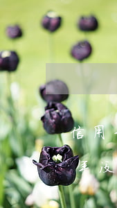 信用卡逾期七年没还了怎么办（信用卡逾期七年没还了）