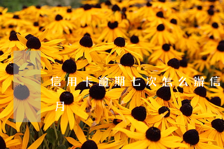 信用卡逾期七次怎么辦(信用卡7千逾期三個月)