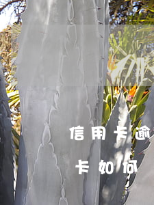 信用卡逾期七次還款記錄怎么辦 逾期的信用卡如何還款