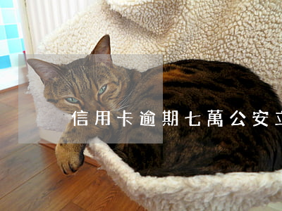 信用卡逾期七萬公安立案
