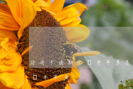 信用卡逾期七萬半年多怎么辦（信用卡逾期七萬半年多）