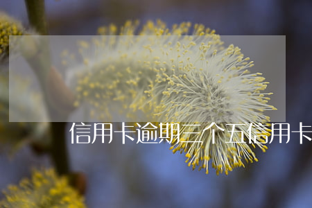 信用卡逾期三个五(信用卡3块钱逾期)