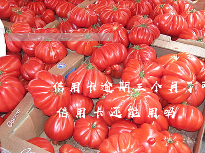 信用卡逾期三个月了可以分期吗(逾期三个月信用卡还能用吗)