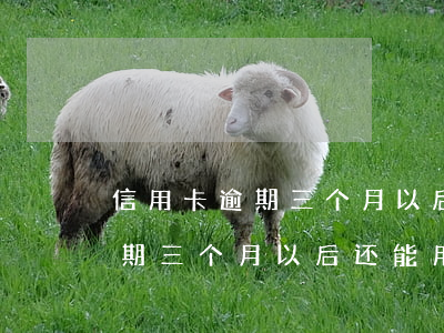 信用卡逾期三个月以后还能用么-信用卡逾期三个月以后还能用么吗