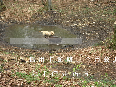 信用卡逾期三个月会上门(信用卡逾期三个月会上门走访吗)