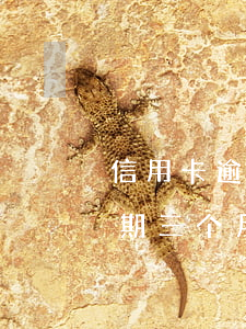 信用卡逾期三个月会怎么样-银行信用卡逾期三个月会怎么样
