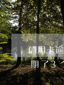信用卡逾期三个月会拉黑吗(好几张信用卡逾期了3个月会怎么样)