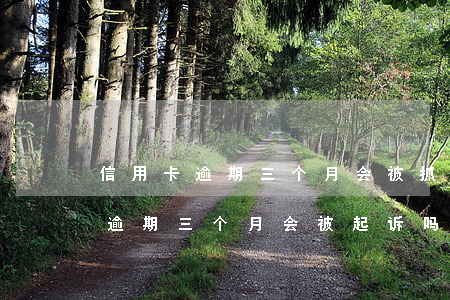 信用卡逾期三个月会被抓吗(信用卡3000逾期三个月会被起诉吗)
