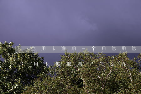 信用卡逾期三个月信用(信用卡逾期三个月信用卡被取消了怎么办)