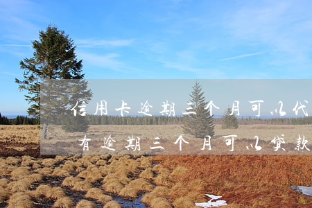 信用卡逾期三个月可以代还么 三年前信用卡有逾期三个月可以贷款吗