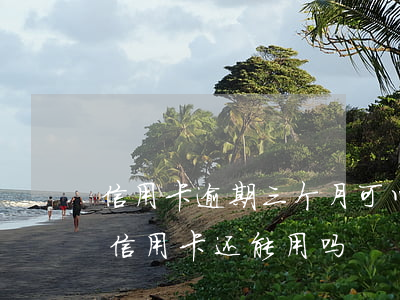 信用卡逾期三个月可以养回来吗(逾期三个月信用卡还能用吗)