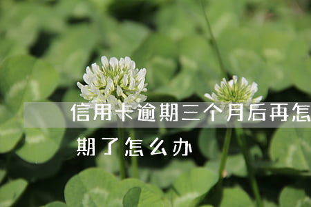 信用卡逾期三个月后再怎么还款(还信用卡逾期了怎么办)