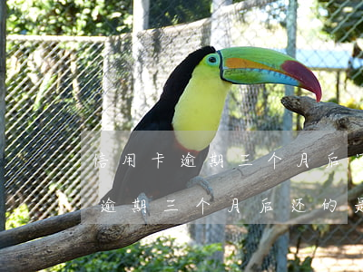 信用卡逾期三个月后还的是本金吗-信用卡逾期三个月后还的是本金吗怎么办