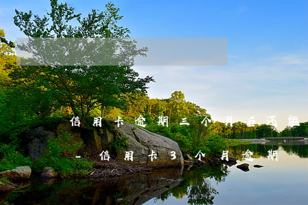 信用卡逾期三个月后还能办理个性化分期吗-信用卡3个月逾期