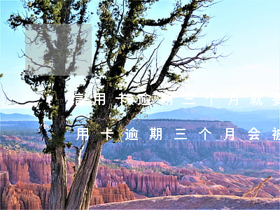 信用卡逾期三个月就要起诉吗(一万元以下信用卡逾期三个月会被起诉吗)