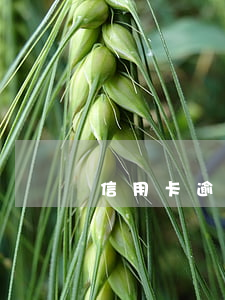 信用卡逾期三个月收到开庭通告