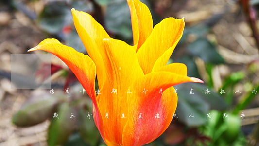 信用卡逾期三个月是直接抓人吗-信用卡逾期三个月是直接抓人吗知乎