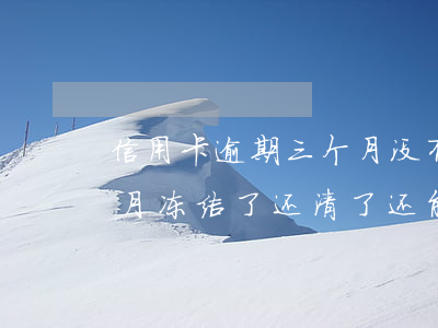 信用卡逾期三个月没有冻(信用卡逾期三个多月冻结了还清了还能用吗)