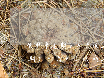信用卡逾期三个月没还会怎样(三张信用卡逾期3个月以上没钱还)