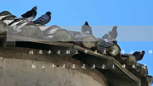 信用卡逾期三个月没还清会怎样-信用卡逾期三个月没还清会怎样处理