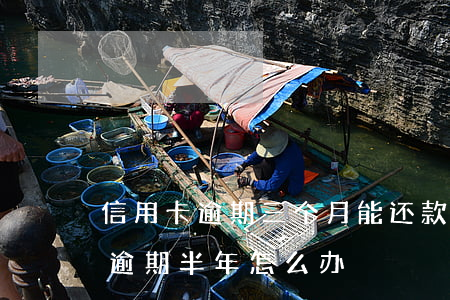 信用卡逾期三个月能还款一半-信用卡3万逾期半年怎么办