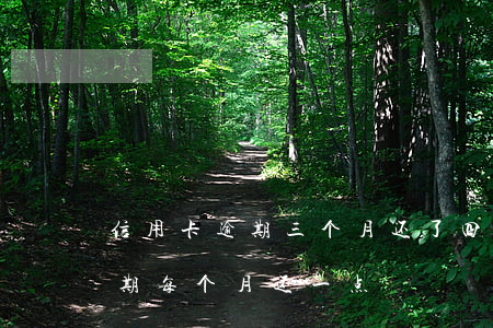 信用卡逾期三个月还了四千元(信用卡4万逾期每个月还一点)