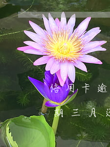 信用卡逾期三个月还款不了(我之前信用卡逾期三月还能申请吗)