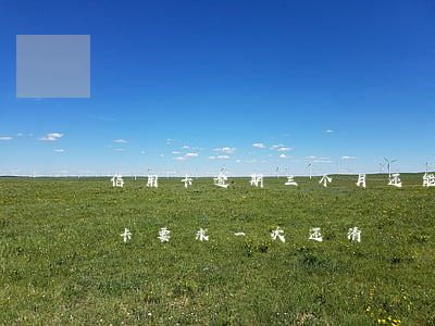 信用卡逾期三个月还能办吗(逾期三个月信用卡要求一次还清)