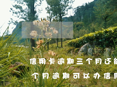 信用卡逾期三个月还能开卡吗 征信有连续三个月逾期可以办信用卡么