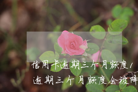 信用卡逾期三个月额度12000-信用卡逾期三个月额度会被降低吗