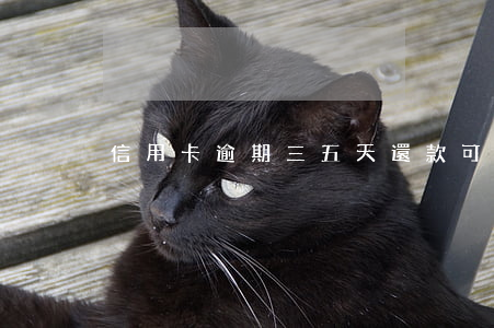 信用卡逾期三五天還款可以嗎