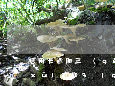 信用卡逾期三個(gè)一定是黑戶(連續(xù)逾期3個(gè)月算黑戶吧)