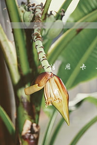信用卡逾期三個(gè)多月報(bào)案