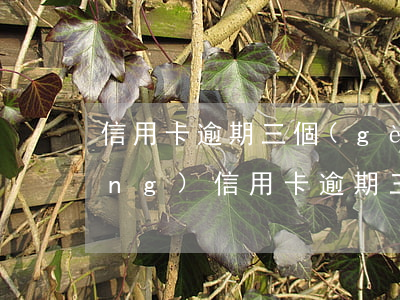 信用卡逾期三個(gè)必知事項(xiàng)(信用卡逾期三個(gè)必知事項(xiàng))