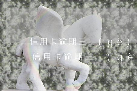 信用卡逾期三個(gè)月1萬(3000塊信用卡逾期三個(gè)月)