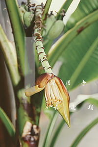 信用卡逾期三個(gè)月22000(信用卡逾期三個(gè)月怎么跟銀行協(xié)商)