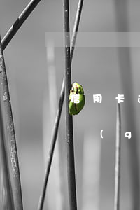 信用卡逾期三個(gè)月不 信用卡逾期三個(gè)月不還會(huì)造成什么影響