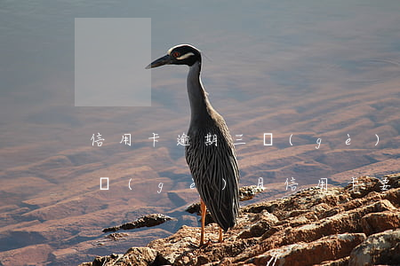 信用卡逾期三個(gè)月中途有還(逾期三個(gè)月信用卡要求一次還清)