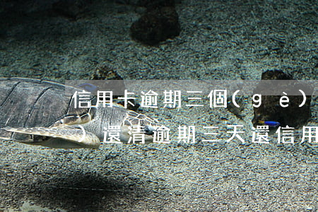 信用卡逾期三個(gè)月主動(dòng)還清(逾期三天還信用卡)
