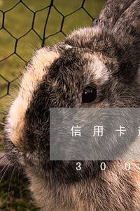 信用卡逾期三個(gè)月什么意思(信用卡3000逾期三個(gè)月會(huì)有什么后果)