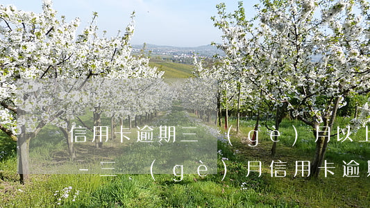 信用卡逾期三個(gè)月以上該怎么處理-三個(gè)月信用卡逾期銀行起訴我怎么辦