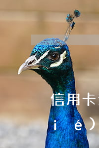 信用卡逾期三個(gè)月以上還能協(xié)商嗎-建行信用卡逾期三個(gè)月以上還能協(xié)商嗎