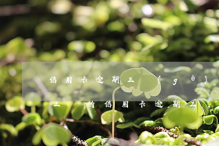 信用卡逾期三個(gè)月以后再還可以嗎(三萬的信用卡逾期三個(gè)月了,沒能力償還)