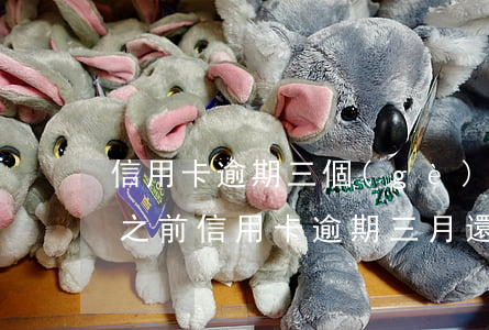 信用卡逾期三個(gè)月但是全部還請(我之前信用卡逾期三月還能申請嗎)