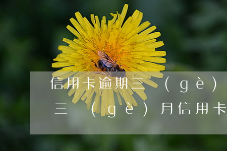 信用卡逾期三個(gè)月信用(信用卡逾期三個(gè)月信用卡還沒還)