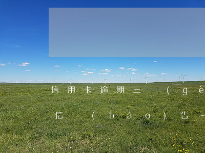 信用卡逾期三個(gè)月個(gè)人征信報(bào)告-信用卡逾期三個(gè)月個(gè)人征信報(bào)告會(huì)顯示嗎