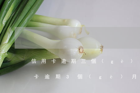 信用卡逾期三個(gè)月借錢還(三張信用卡逾期3個(gè)月以上沒錢還)