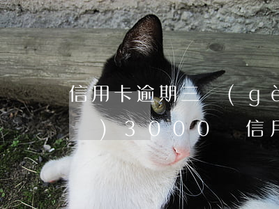 信用卡逾期三個(gè)月做不了飛機(jī)(3000塊信用卡逾期三個(gè)月)