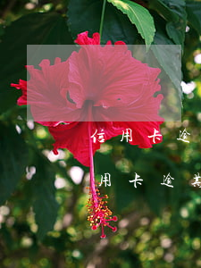 信用卡逾期三個(gè)月內(nèi) 信用卡逾期三個(gè)月內(nèi)還最低還可以正常用嗎